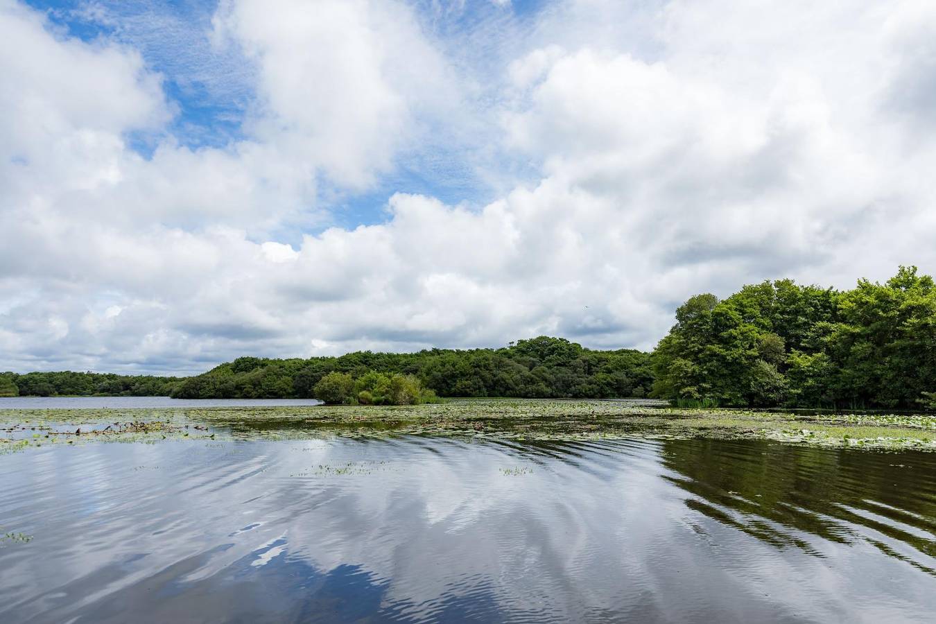 La Maison de mon grand-père, appt la landaise du lac in León (Francia), Côte d’Argent