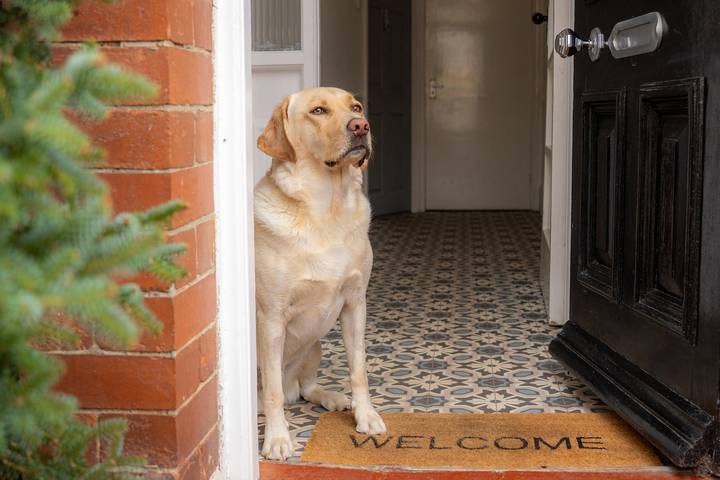 Apartamento entero, Apartamento de vacaciones para 4 personas con jardín in Whitley Bay, North Tyneside