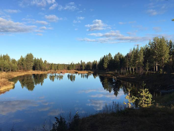 Keselmäkangas in Sallatunturi, Laponie