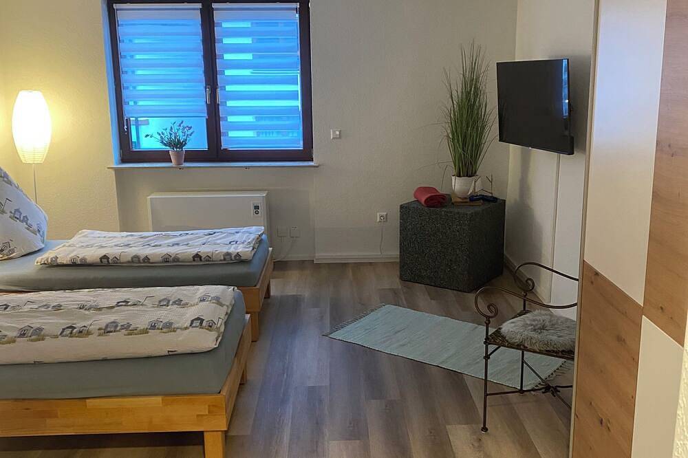 Ganze Wohnung, Neu renovierte Fewo im Zentrum  von Hirschhorn / Neckar direkt am Neckarsteig in Hirschhorn, Bergstraße