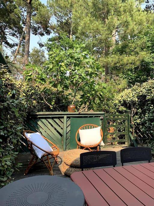 Gîte pour 3 personnes, avec terrasse dans Claouey - 3