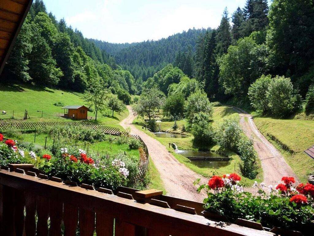 Six-Bedroom Holiday Home in Schiltach, Kinzigtal