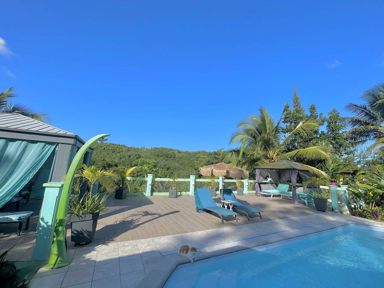 Bed and breakfast Guadeloupe in Cocoyer, Le Gosier