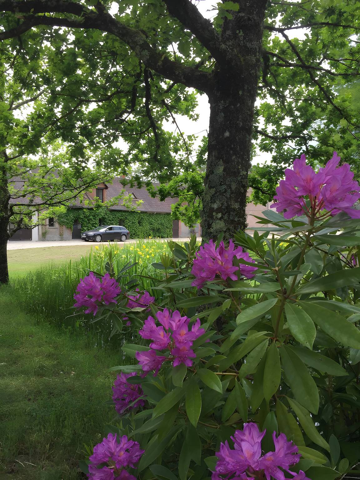 Casa de vacaciones 'Le Pré Des Fées' con vistas al lago, piscina privada y jardín privado in Salbris, Sologne