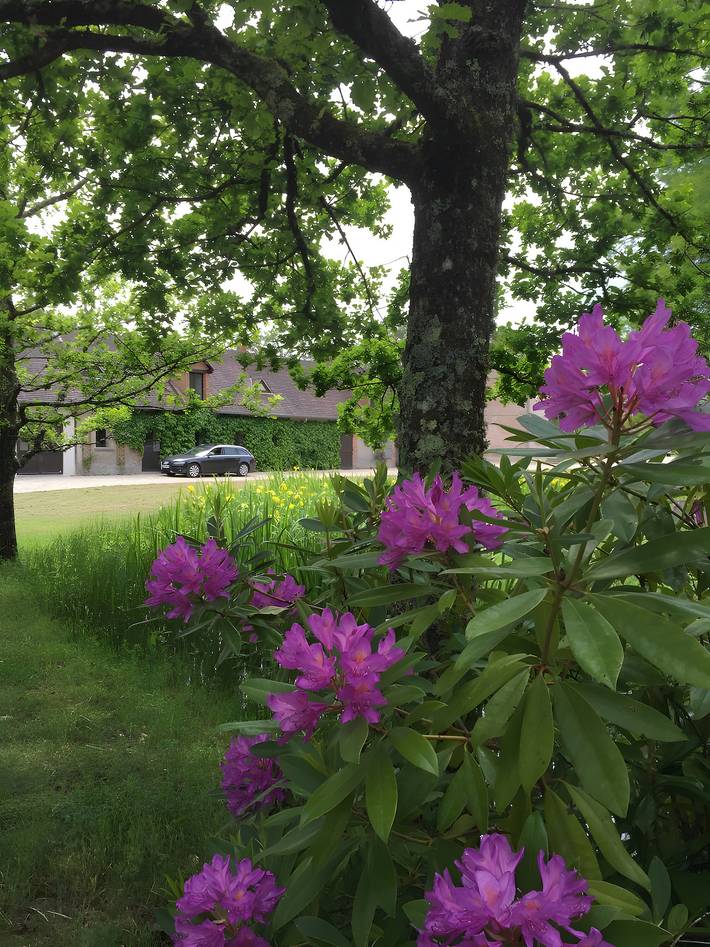 Location de vacances pour 6 personnes, avec vue sur le lac ainsi que jardin et bassin pour enfant à Salbris