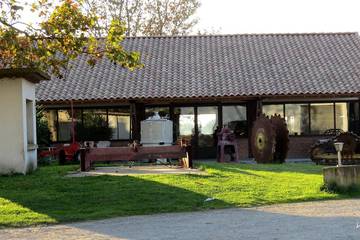 Gîte pour 7 Personnes dans Arles, Parc naturel régional de Camargue, Photo 4