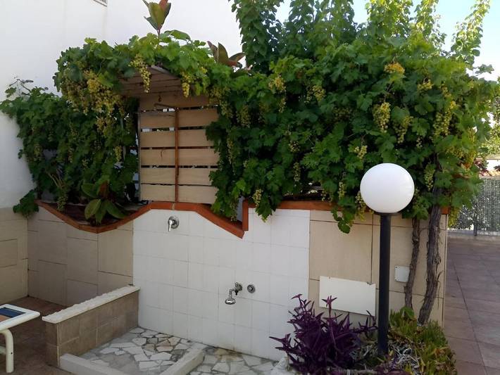 Location de vacances pour 4 personnes, avec terrasse ainsi que sauna et jardin, animaux acceptés dans Rodi Garganico - 3