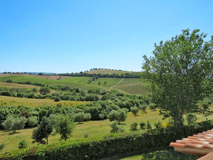 Appartamento intero, Ginestra in Scansano, Provincia di Grosseto