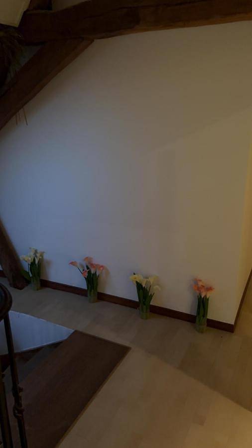 Maison d’hôte pour 2 personnes, avec Terrasse à Soignies