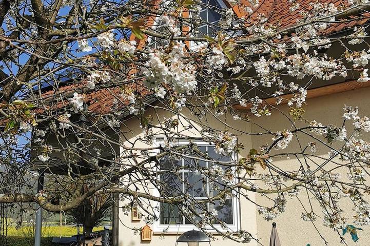 Ferienwohnung für 2 Personen - 1