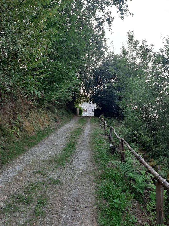 Casa rural para 2 personas, con vistas además de jardín y terraza en Pirineo Navarro - 3