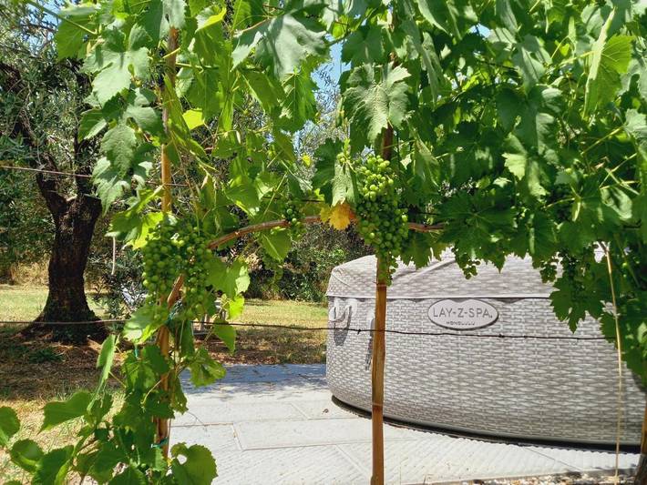 Gîte pour 2 personnes, avec jacuzzi et jardin à Montecatini-Terme - 3