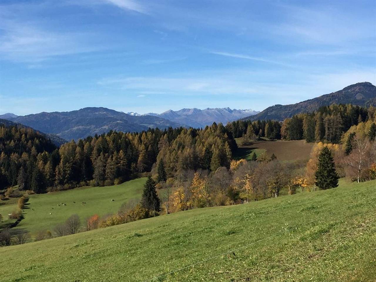 Ganze Ferienwohnung, Schauerhof in Mariahof, Westliche Obersteiermark