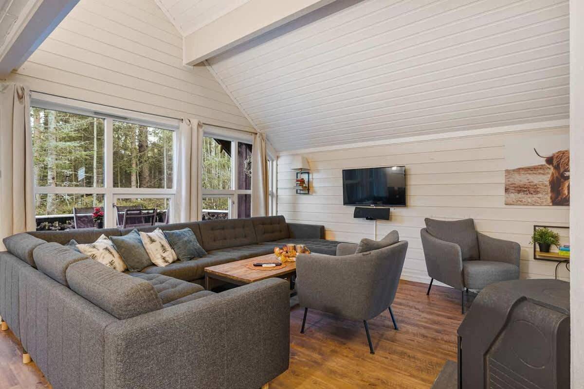 Ab38- Large family cabin on Alpingrenda close to the slopes in Innbygda, Trysil