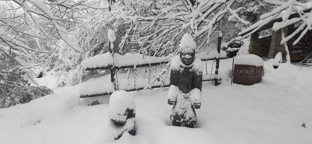 Chambre d’hôte pour 3 personnes, avec vue ainsi que piscine et jardin dans Nièvre - 3