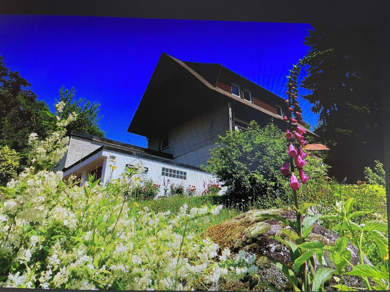 Geheel appartement, Blackforestbirdnest in Schonach, Schonach im Schwarzwald