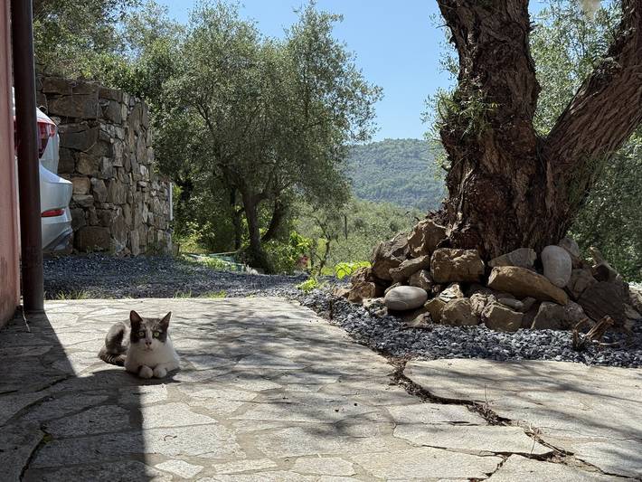 Ferienhaus für 6 Personen, mit Terrasse und Garten in Dolcedo - 2