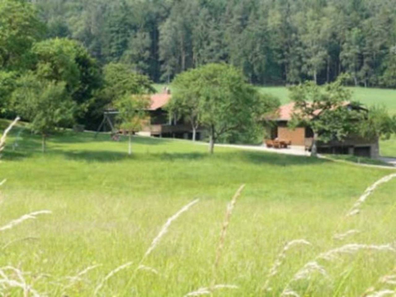 Ferienhäuser Siefertshof in Mossautal, Odenwaldkreis