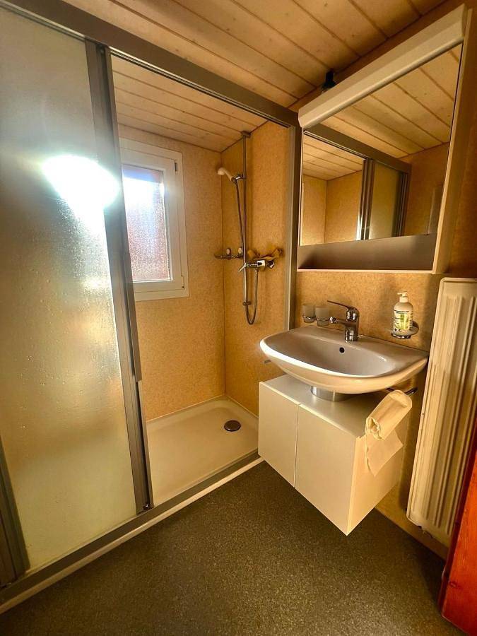 Gîte pour 5 personnes, avec jardin et vue, animaux acceptés à Albinen - 4