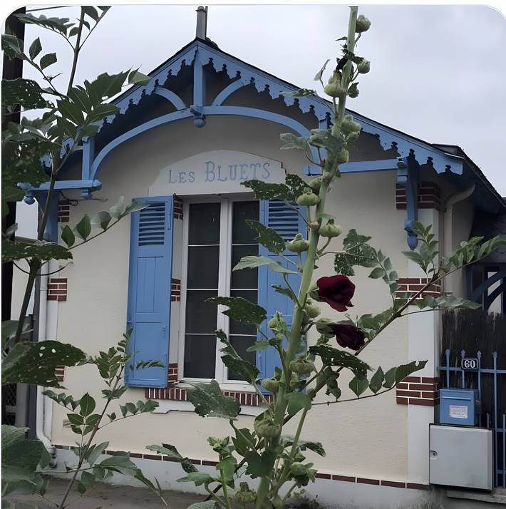 Cottage 'Les Bluets - Maison De Pêcheurs' avec terrasse privée, Wi-Fi et climatisation in Les Ponts-de-Cé, Vallée de la Loire
