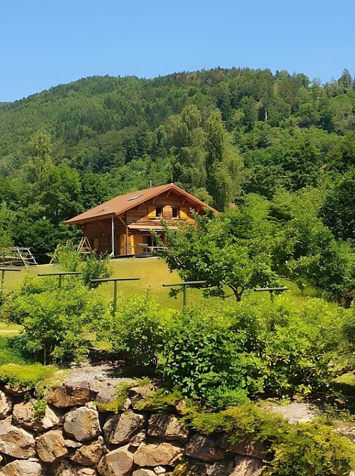 Chalet voor 12 personen, met Tuin in de Vogezen