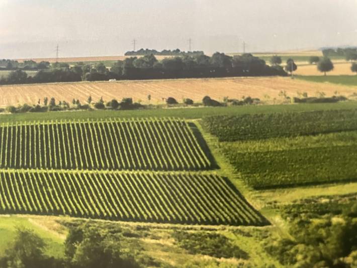 Ferienwohnung für 4 Personen in Rheinhessen - 3