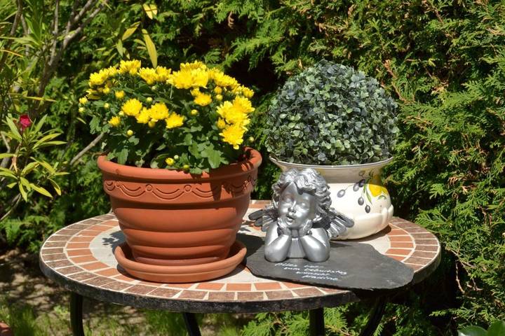 Ferienwohnung für 2 Personen, mit Garten und Ausblick in Andernach - 4