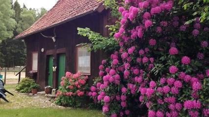 Ferienhaus für 4 Personen in Wietzendorf, Landkreis Heidekreis, Bild 3
