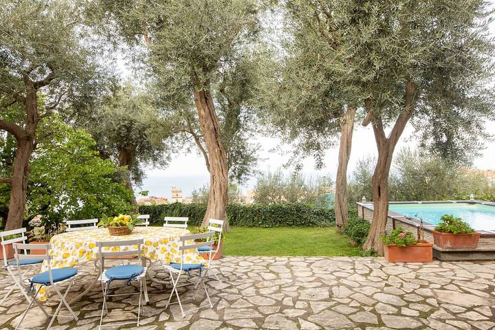 Location de vacances pour 12 personnes, avec jardin, animaux acceptés à Massa Lubrense - 3