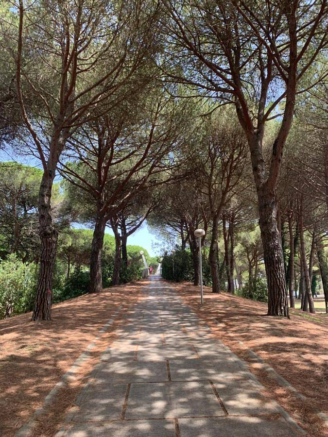 Gîte pour 4 personnes, avec balcon dans Golf de la Grande Motte - 2