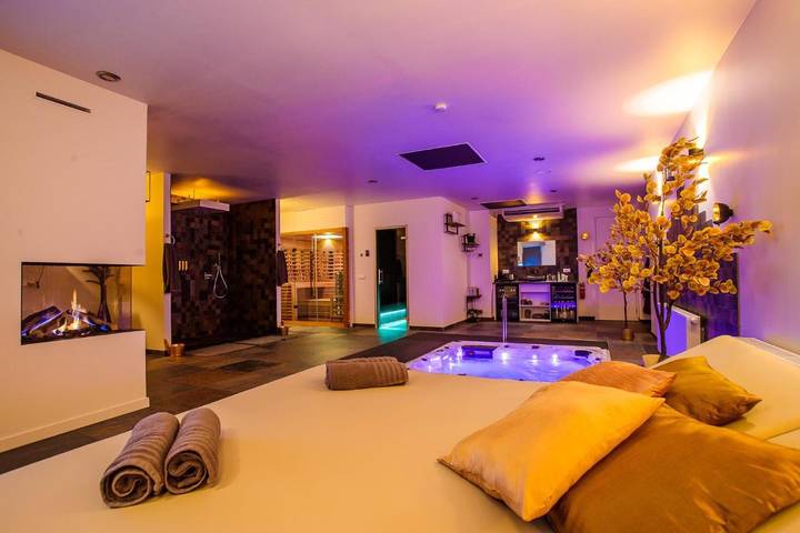 Chambre d’hôte pour 4 personnes, avec sauna et jacuzzi ainsi que piscine et jardin aux Pays-Bas - 3