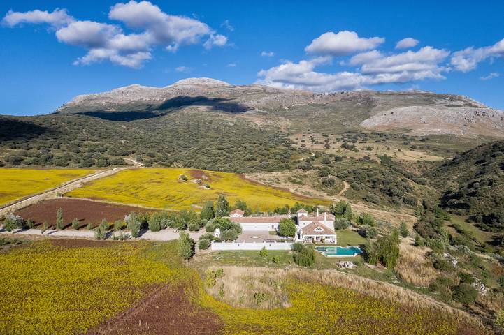 Chalet para 14 personas, con terraza y jacuzzi además de jardín y sauna en Serranía de Ronda - 3