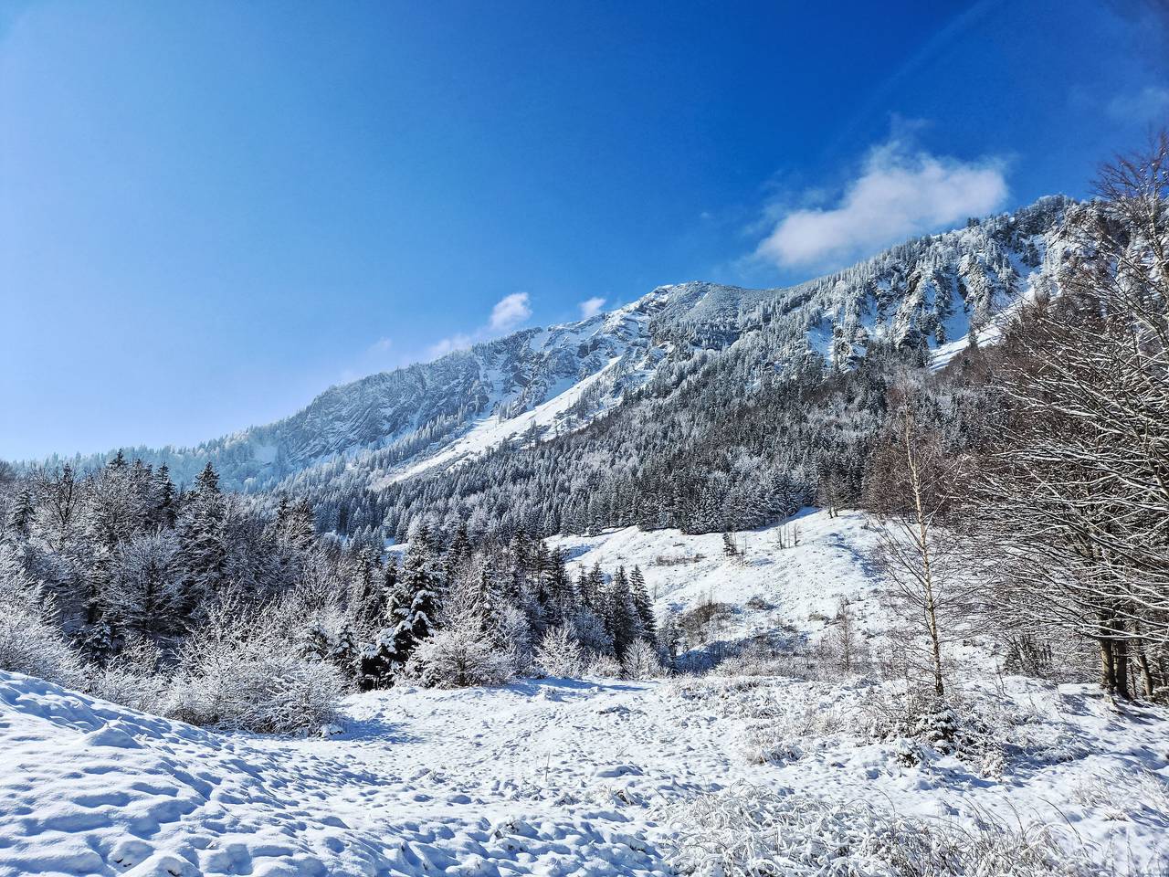 Tiny Haus Glockenalm-Haus zum Glück in Fischbachau, Región Alpina de Tegernsee y Schliersee