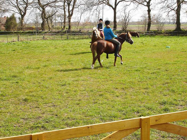 Bauernhof für 4 Personen, mit Terrasse und Garten in Ostfriesland - 4