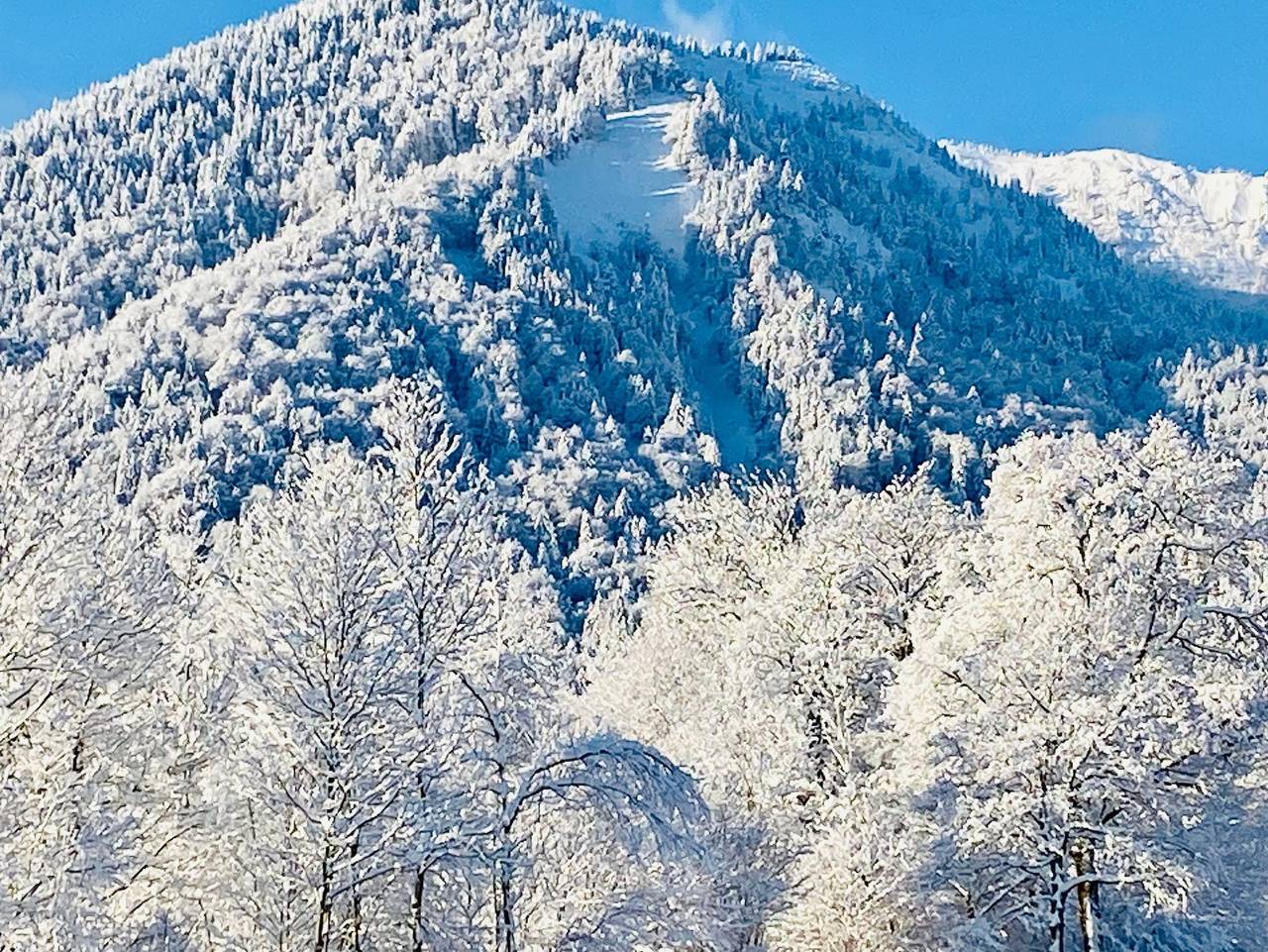 Ganze Ferienwohnung, Ferienwohnung Zirbenchalet - Ferienwohnung Zirbenchalet in Kreuth, Bayerische Alpen
