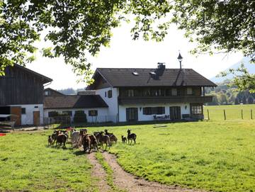 Ferienwohnung für 4 Personen in Bad Reichenhall, Bayerische Alpen, Bild 2