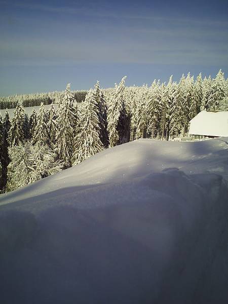 Hotel-Restaurant Zum Hirschen - Dreibettzimmer in Donaueschingen, Mittlerer Schwarzwald