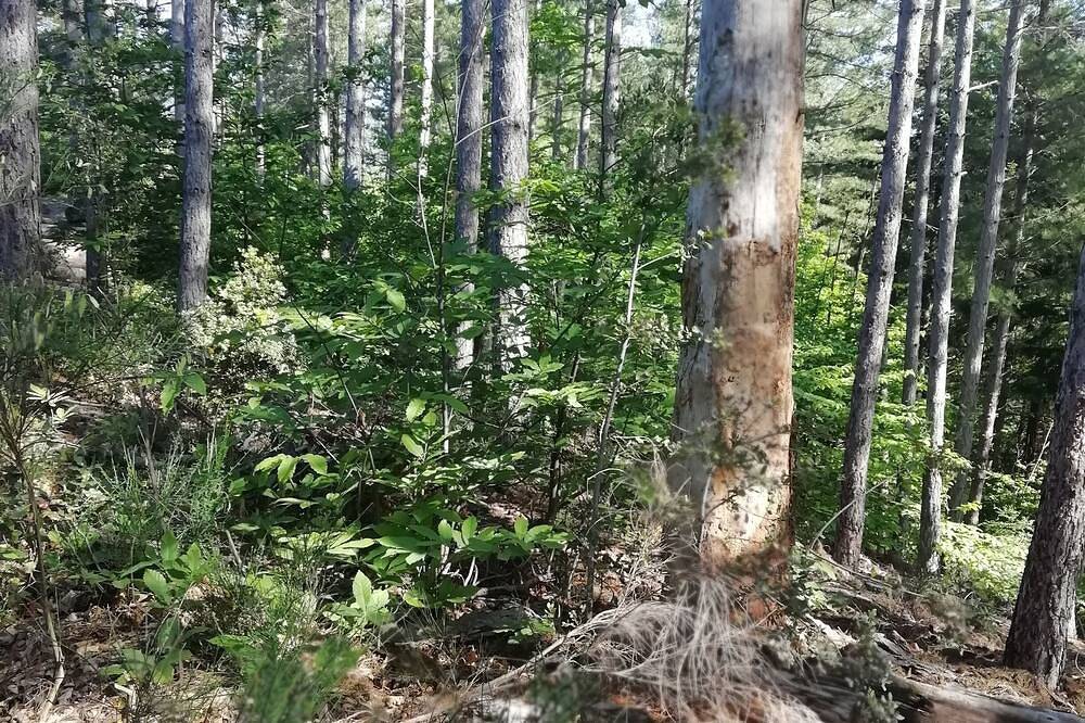This gîte is sold in Boulbon, Arles und Umgebung