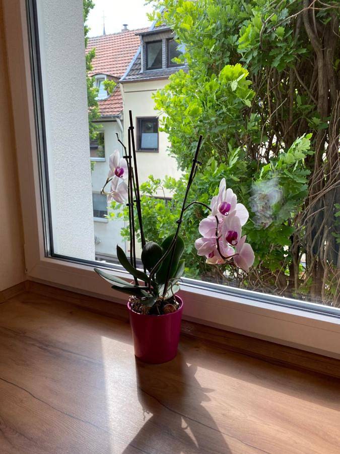 Ferienwohnung für 3 Personen, mit Balkon am Phantasialand - 2