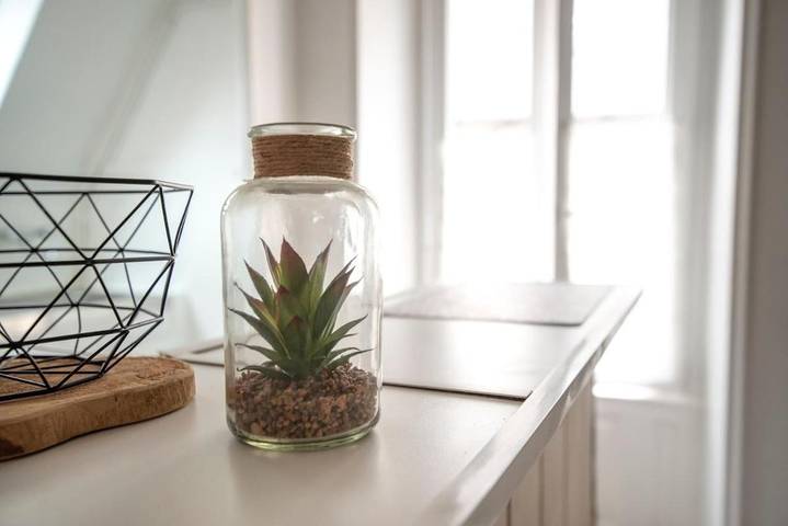 Gîte pour 3 personnes dans Centre Des Congres Angers - 2