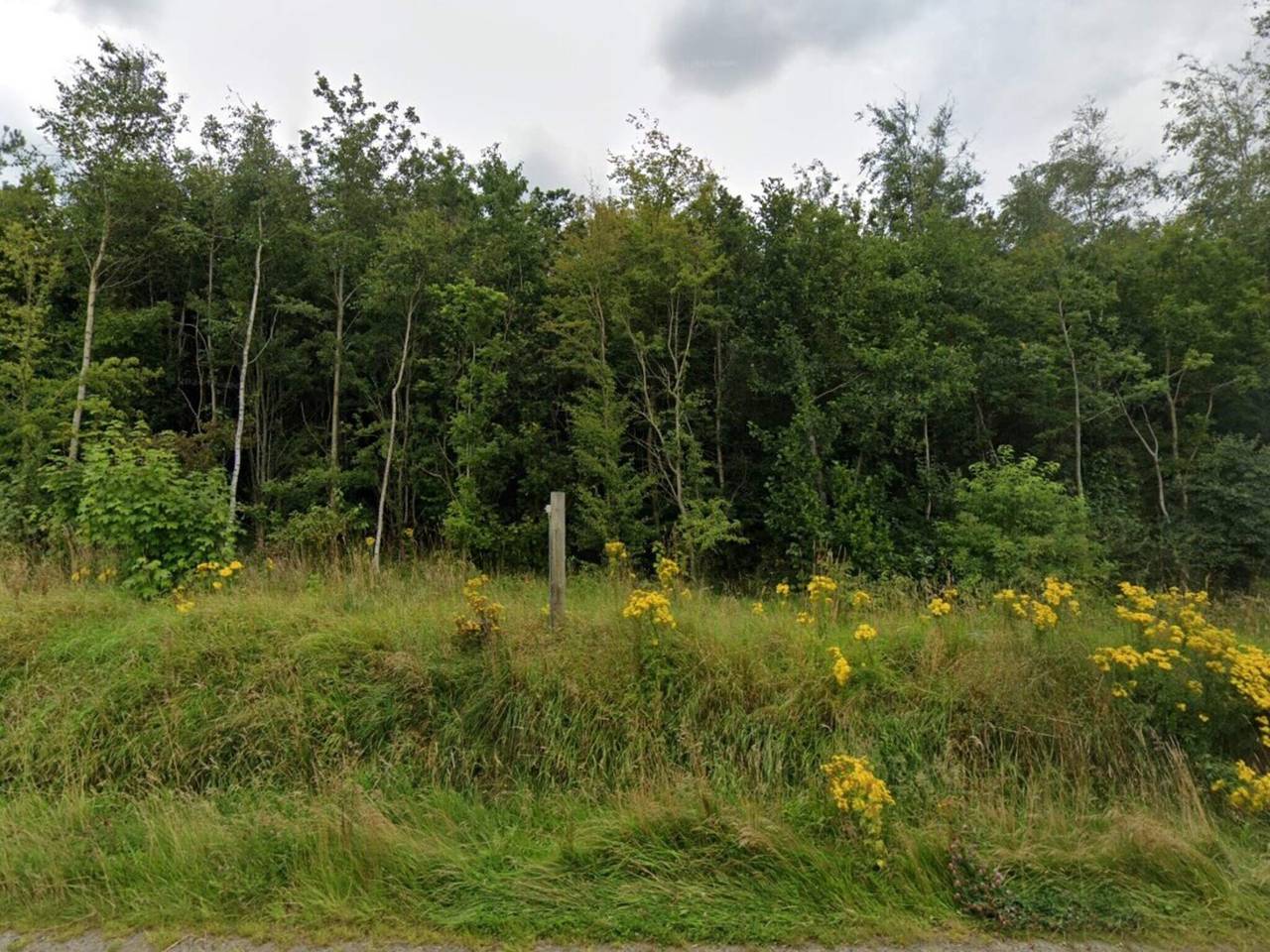 Luxurioses Seeruckzug-By Traum in Varde