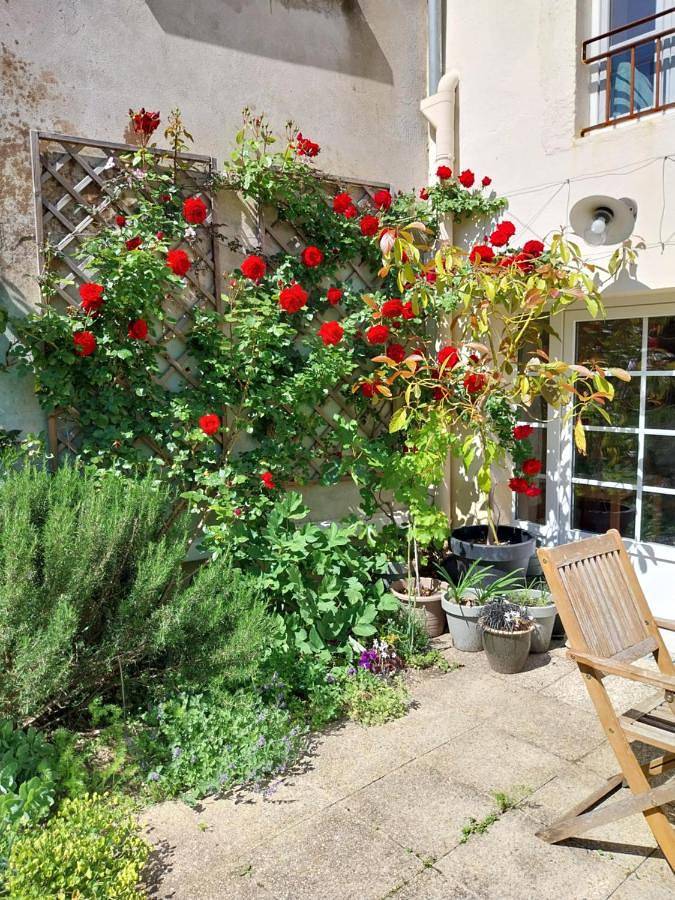 Location de vacances pour 6 personnes, avec jardin, adapté aux familles à Blasimon - 3