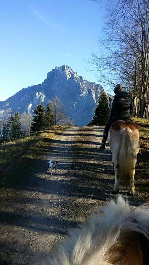 Ferienwohnung für 2 Personen, mit Seeblick und Ausblick sowie Terrasse, mit Haustier am Traunsee - 3