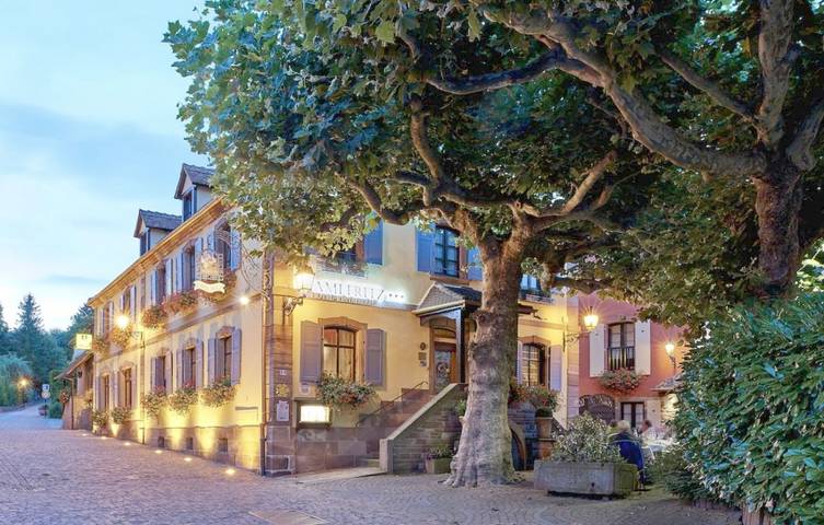 Hôtel pour 2 personnes, avec sauna et jacuzzi ainsi que jardin et terrasse à Ottrott - 4