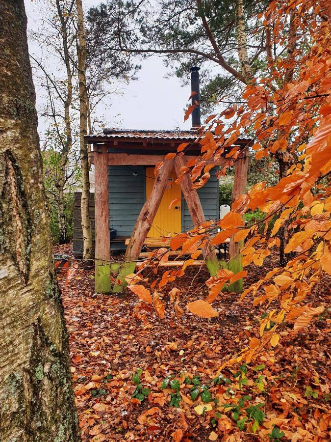 Camping for 4 people, with Garden and Sauna as well as View in Chichester (District)