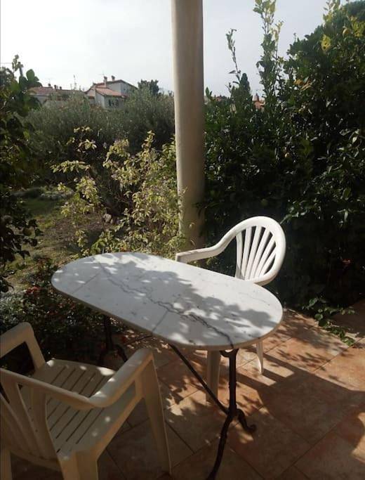 Location de vacances pour 6 personnes, avec jardin, animaux acceptés à Millas - 3