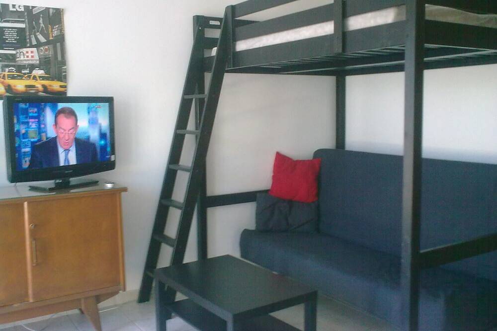 Geheel appartement, Studio Met Airconditioning. Uitzicht op palmbomen, dicht bij grote gratis parkeergelegenheid en stranden in Carqueiranne, Toulon regio