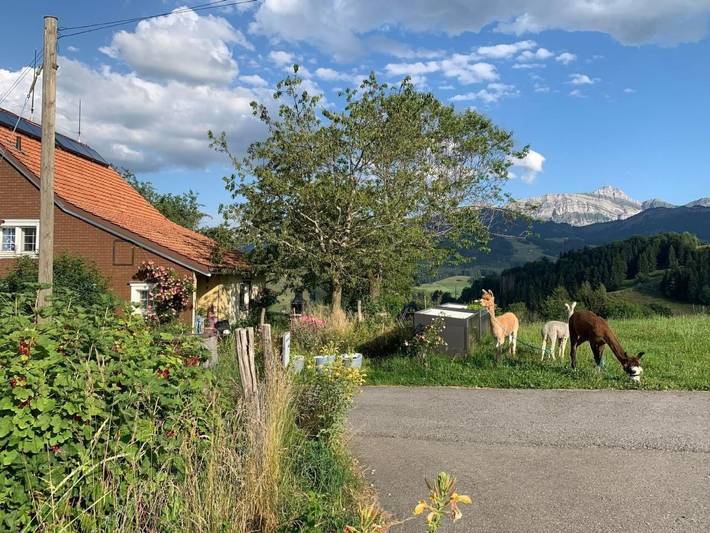 Ferienwohnung für 6 Personen, mit Garten in der Schweiz