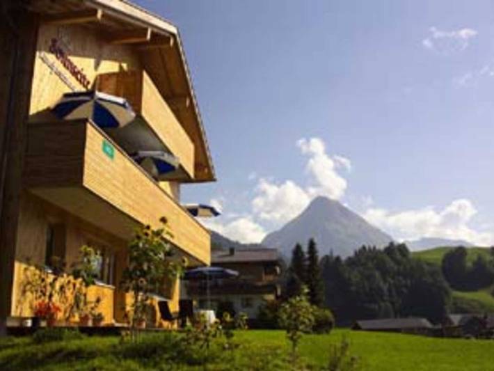Ferienwohnung für 3 Personen, mit Balkon und Sauna sowie Ausblick, kinderfreundlich in Au