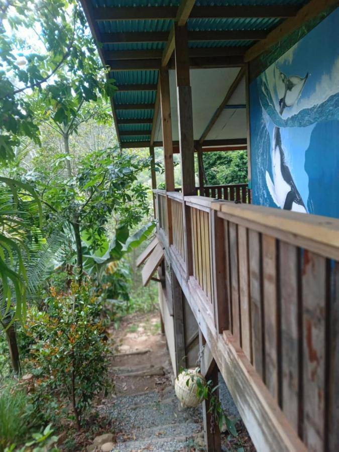 Location de vacances pour 8 personnes, avec terrasse ainsi que jardin et vue à Païta - 4